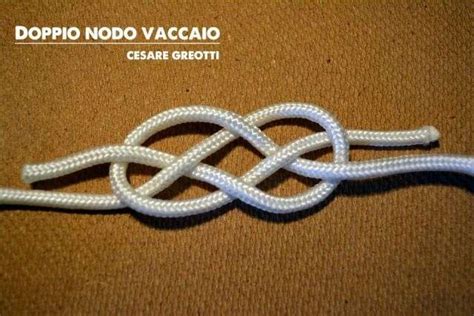 nodo vaccaio